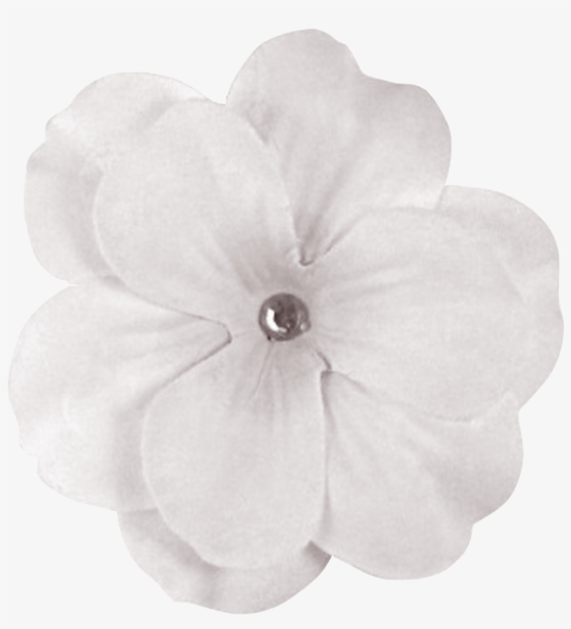 White Flower Png - Enchanteds, transparent png