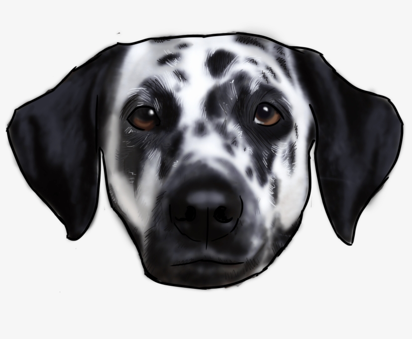 Dalmatian, transparent png