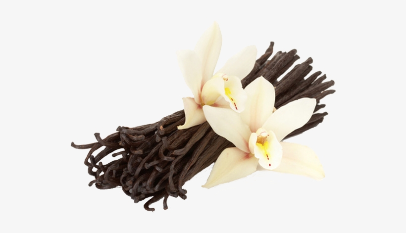 Vanilla - Vanilla Flower And Beans, transparent png