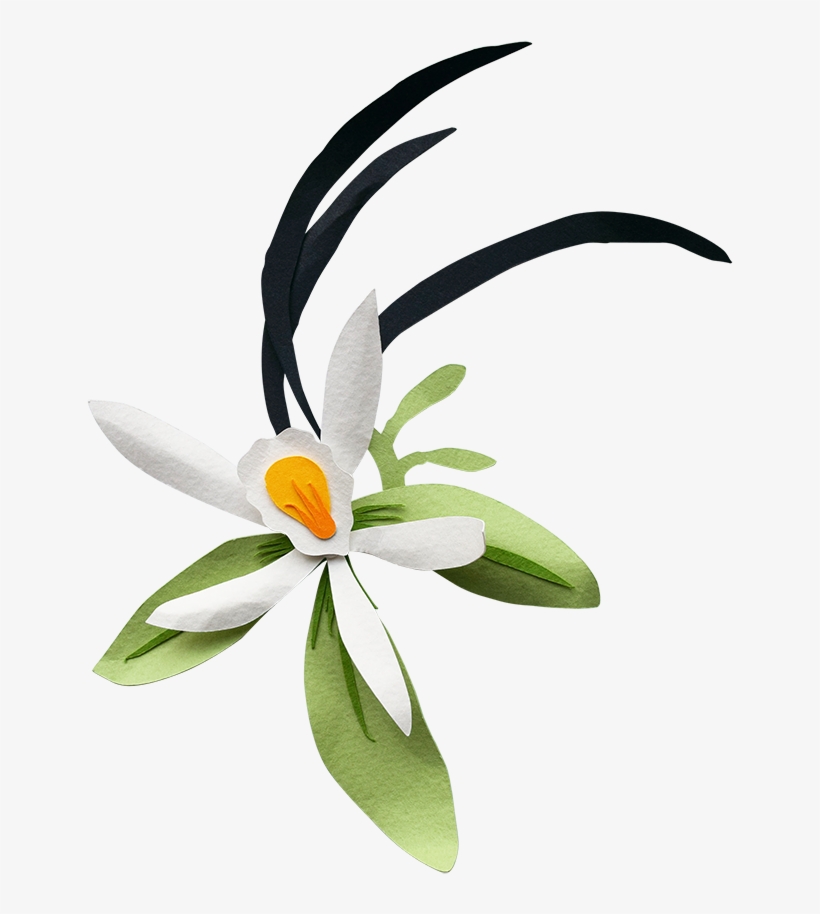 Purple Flower - Clip Art, transparent png