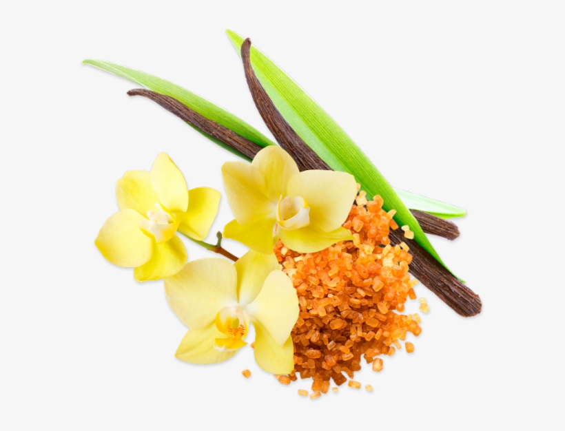 Vanilla Sticks - Vanilla, transparent png