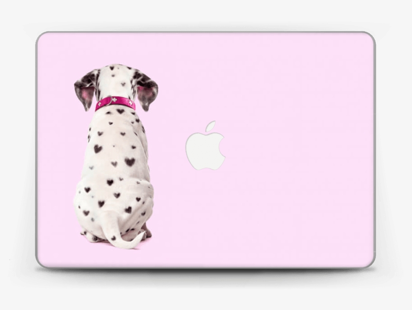 Dalmatian Love - Puppy Sitting Back View, transparent png