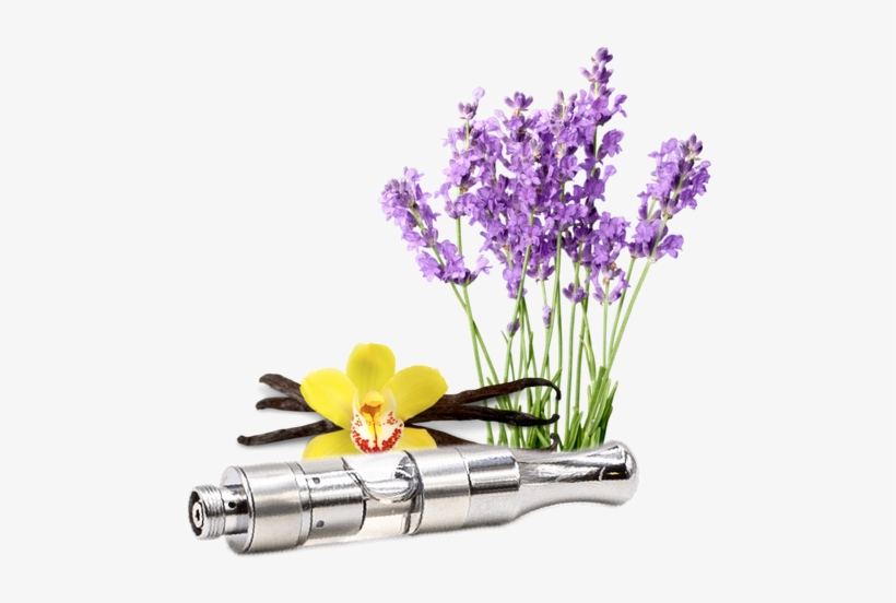 Cannabidiol, transparent png