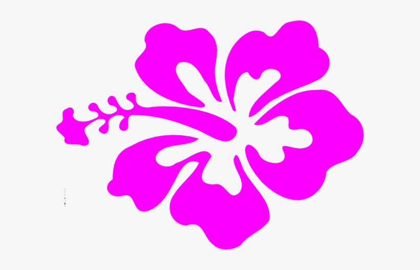 Hawaiian Flower, transparent png