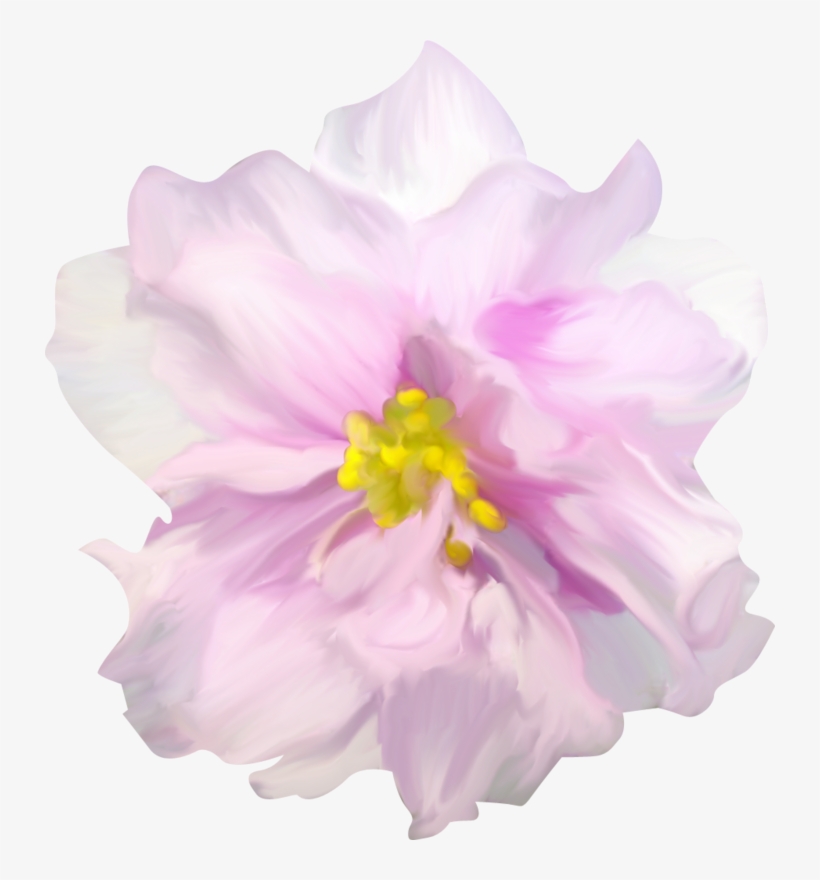 Яндекс - Фотки - Scrapallflowers - Tulipa Humilis, transparent png
