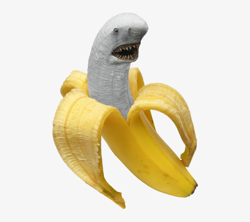 Shark Fruit Banana Png Transparent I Maked This - Transparent Banana Shark, transparent png