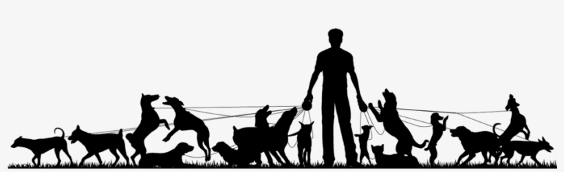 Dog Walking - Pack Of Dogs Silhouette, transparent png