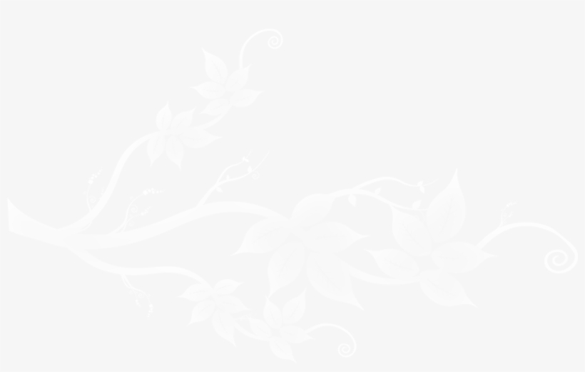 White Clipart Decorative - Oxford University Logo White, transparent png