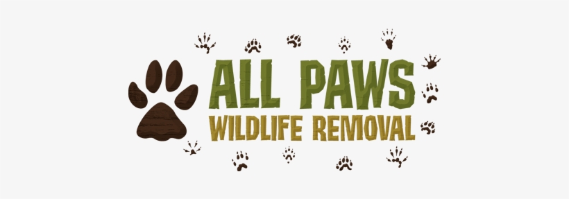 All Paws Wildlife, transparent png