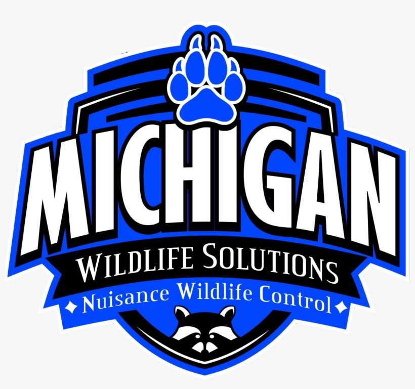 Macomb Wildlife Solutions - Michigan Wildlife Solutions, Llc, transparent png