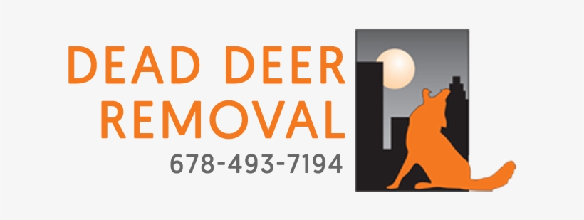 Removal Of Dead Animals - Atlanta, transparent png