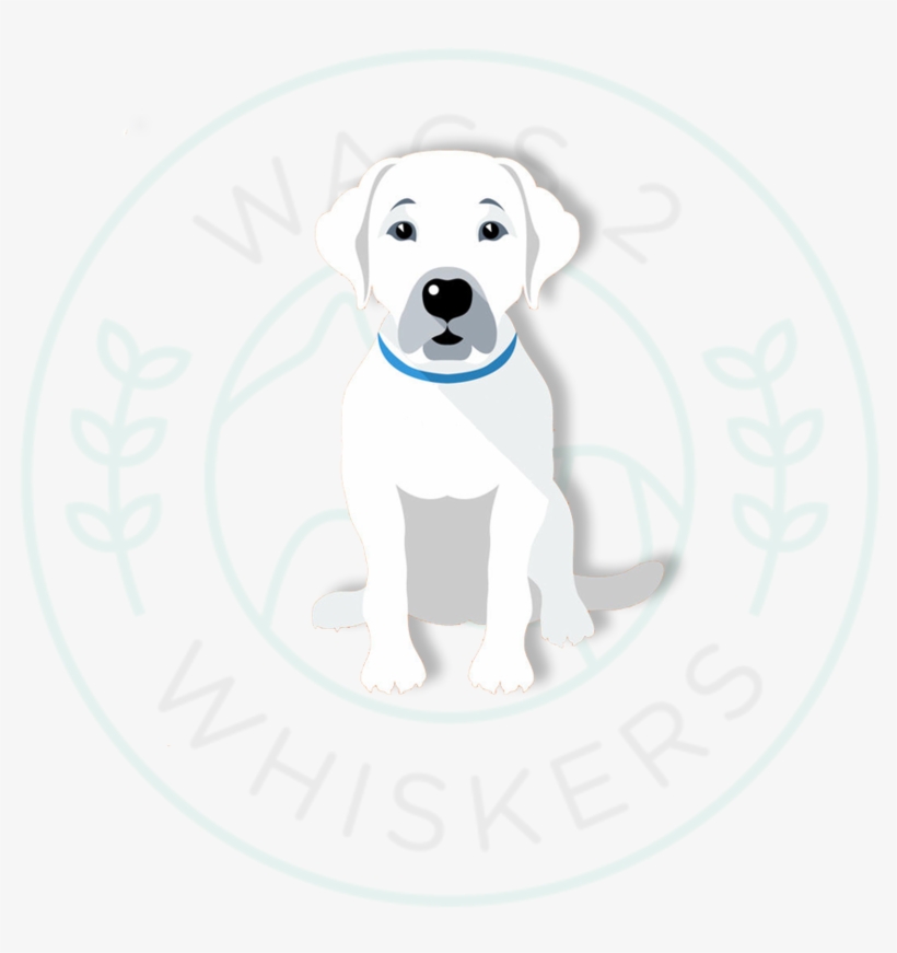 White Dog - Dog, transparent png