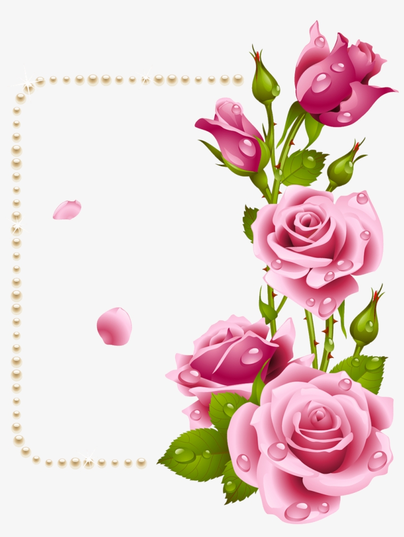 Rose Dil Good Morning 1001x1280 PNG Download PNGkit