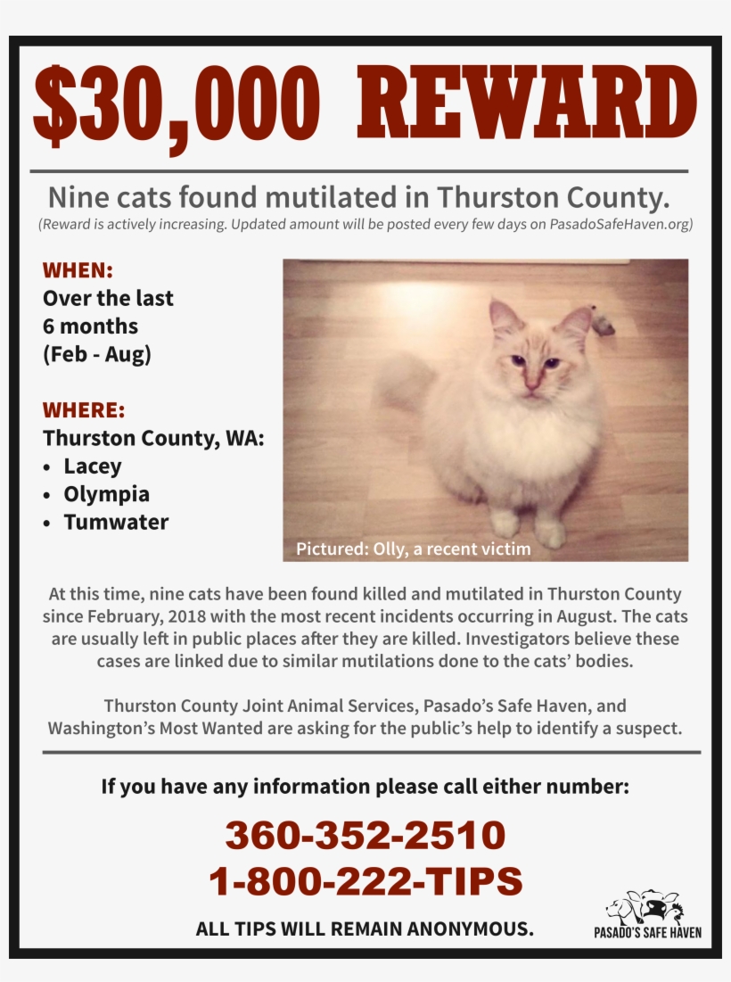 Here's The Reward Poster - Serial Cat Killer Olympia Wa, transparent png
