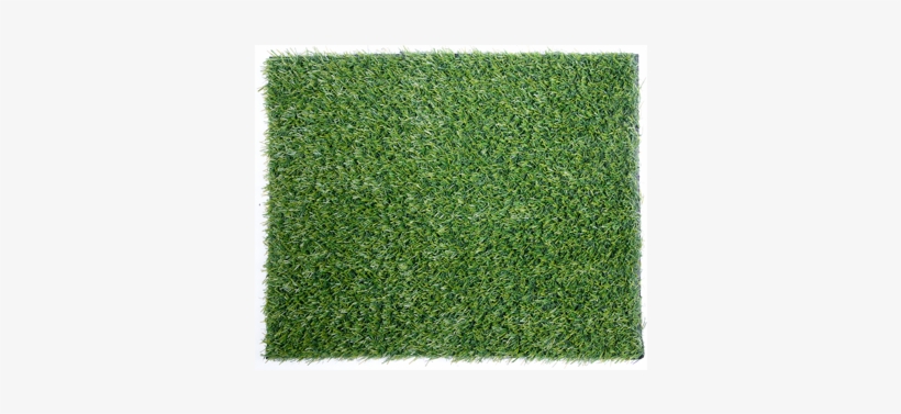 Grass - Thoresby Artificial Grass - Green / 5m, transparent png