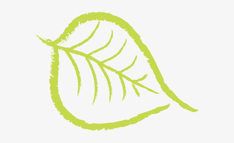 Carrot, Apple, Ginger Health Benefits - Drawing, transparent png