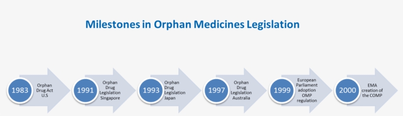 Following The Adoption Of The Regulation, The Committee - Software, transparent png