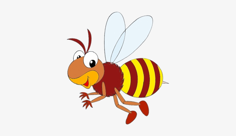 Life Cycle Of Honey Bee Model, transparent png