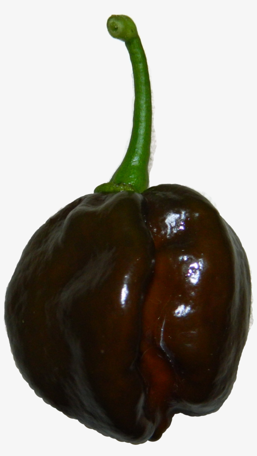 Chocolate Habanero - Chili Pepper, transparent png