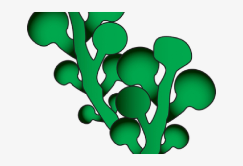 Seaweed Clipart Green Seaweed - Clip Art, transparent png
