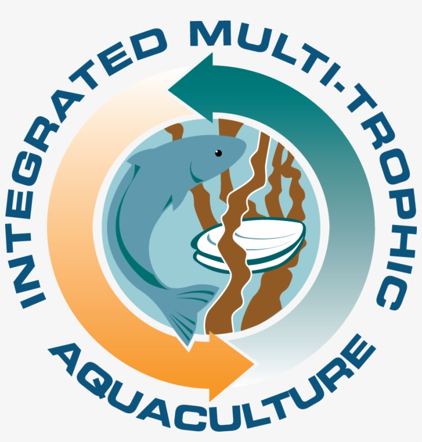 The Imta Logo - Imta, transparent png
