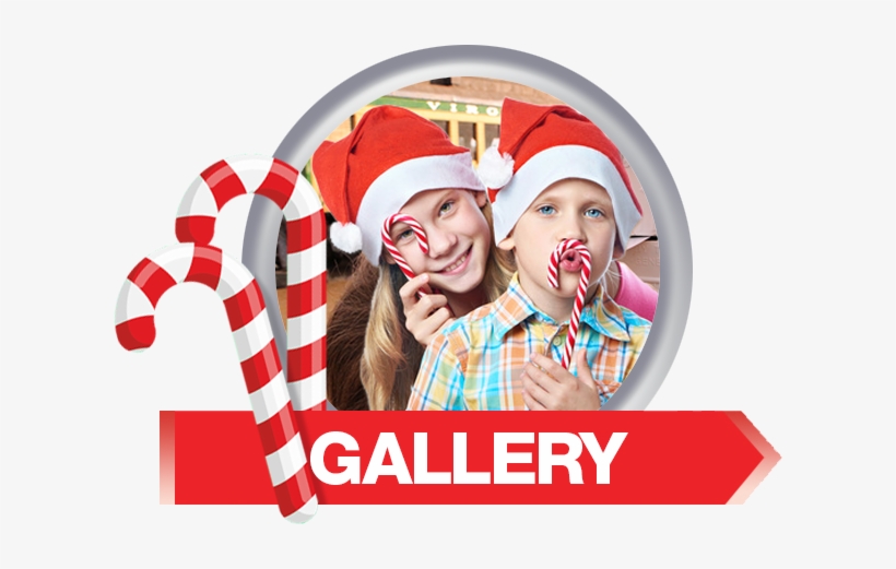 Photo - Photograph, transparent png
