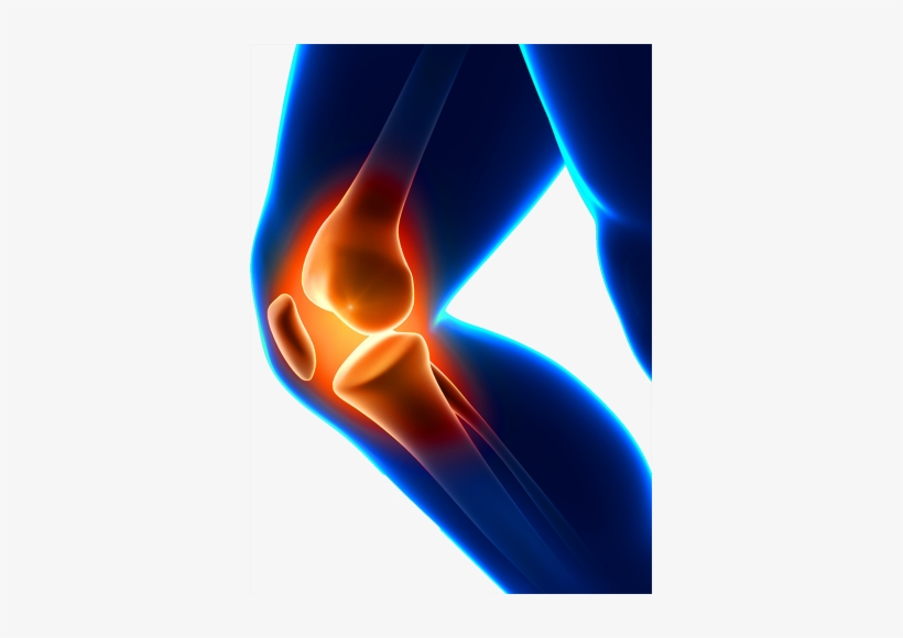 Best Choice, Dr. Recommended Knee Brace Support, transparent png