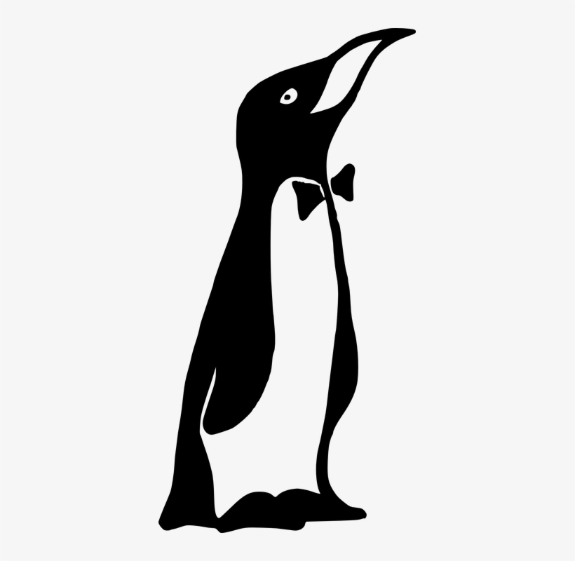 Bow Tie Clipart Penguin - Penguin Bow Tie, transparent png
