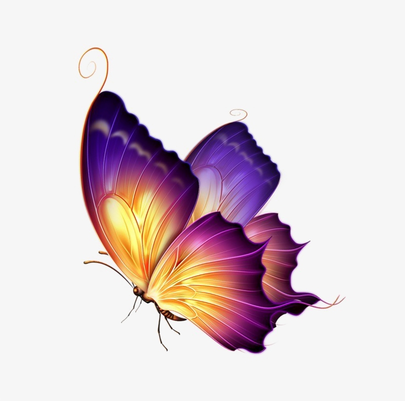 Butterfly Png Transparent Image - Purple Yellow Butterfly, transparent png