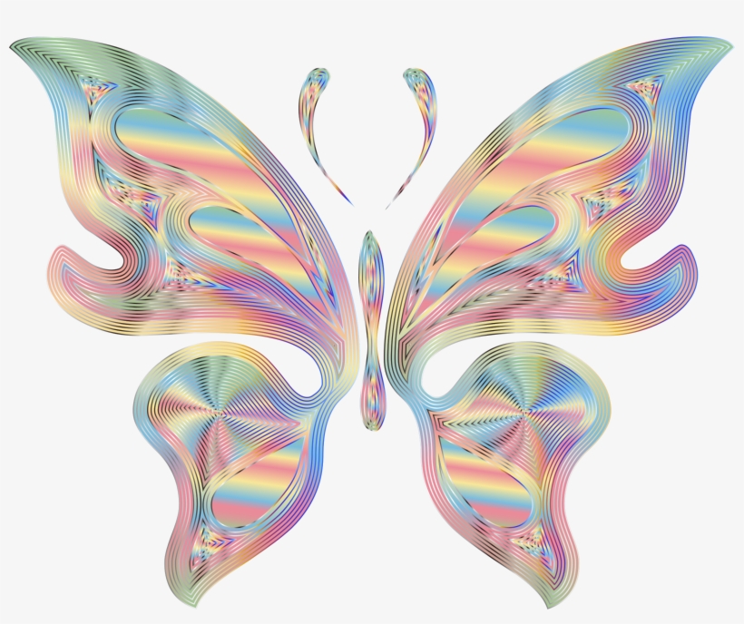 Butterfly Outline Clipart Transparent Background Collection - Butterfly Icon With No Background, transparent png