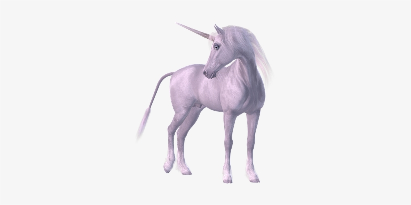 Unicorn Mythical Creatures Mane White Horn - Unicornun Kaç Boynuzu Var, transparent png