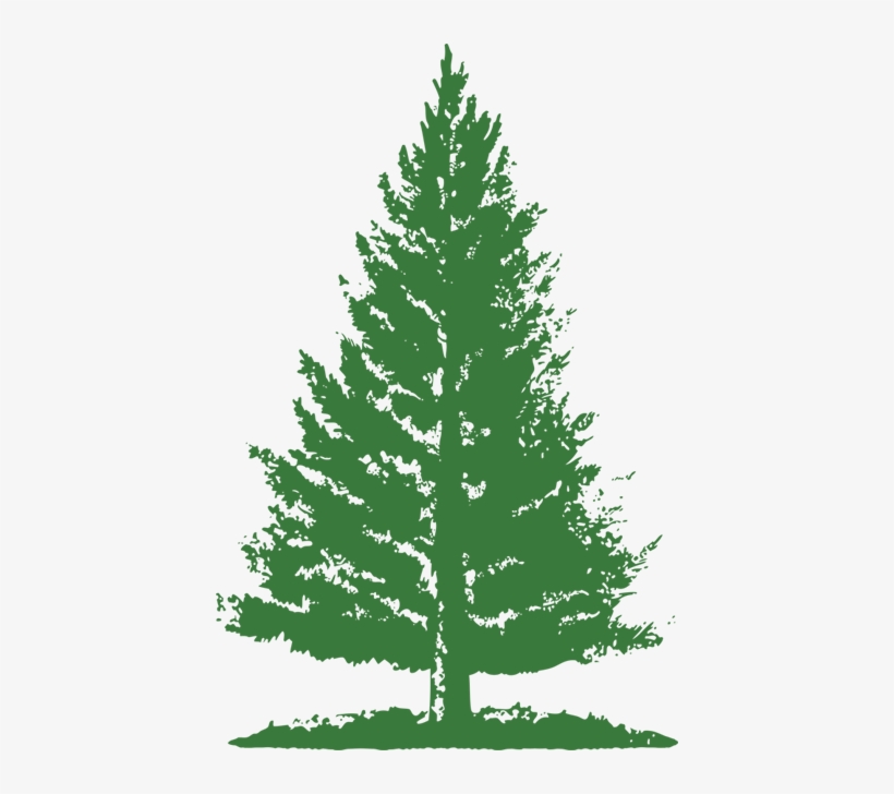 Pine Tree Png Green, transparent png