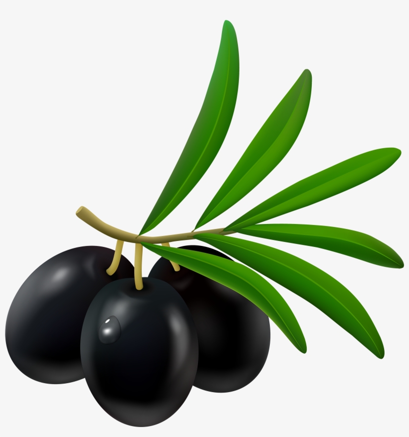 Olive Clipart Amp Look At Olive Clip Art Images - Black Olives Png, transparent png