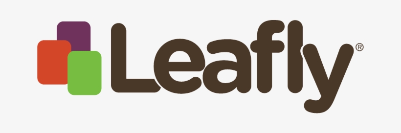 Leafly, transparent png