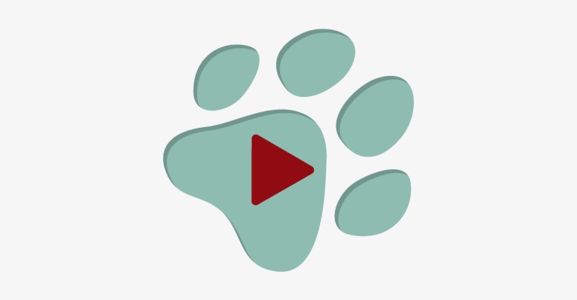 Paw Print Fundraising Software Review Video Play Button - Software, transparent png