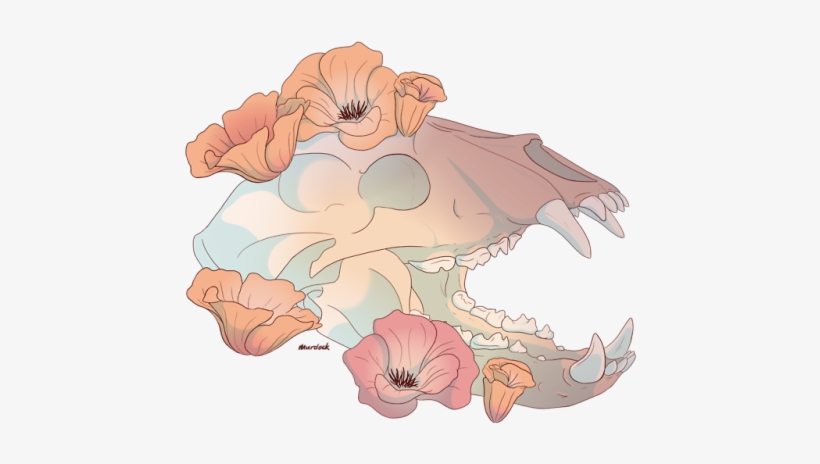 Illustration, transparent png