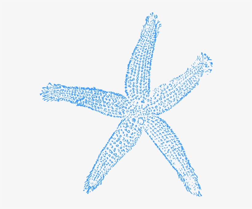 Clip Art At Clker Com Vector Online - Blue Starfish Clip Art, transparent png