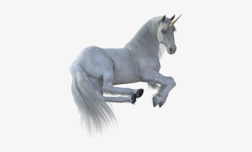 Unicorn Animal Png, Vectors, Psd, And Clipart For Free - Horse, transparent png