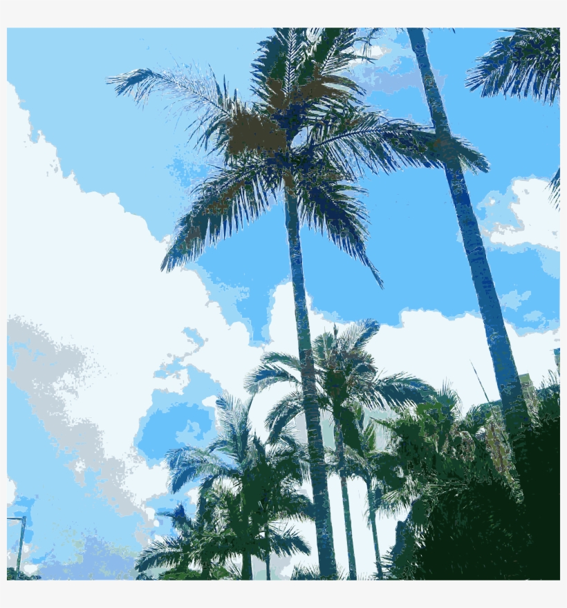 Clip Art Clipart Babassu Clip Art - Palm Trees, transparent png