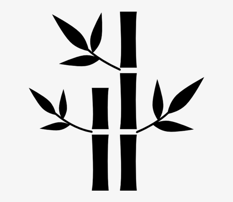 Pin By - Bamboo Vector, transparent png