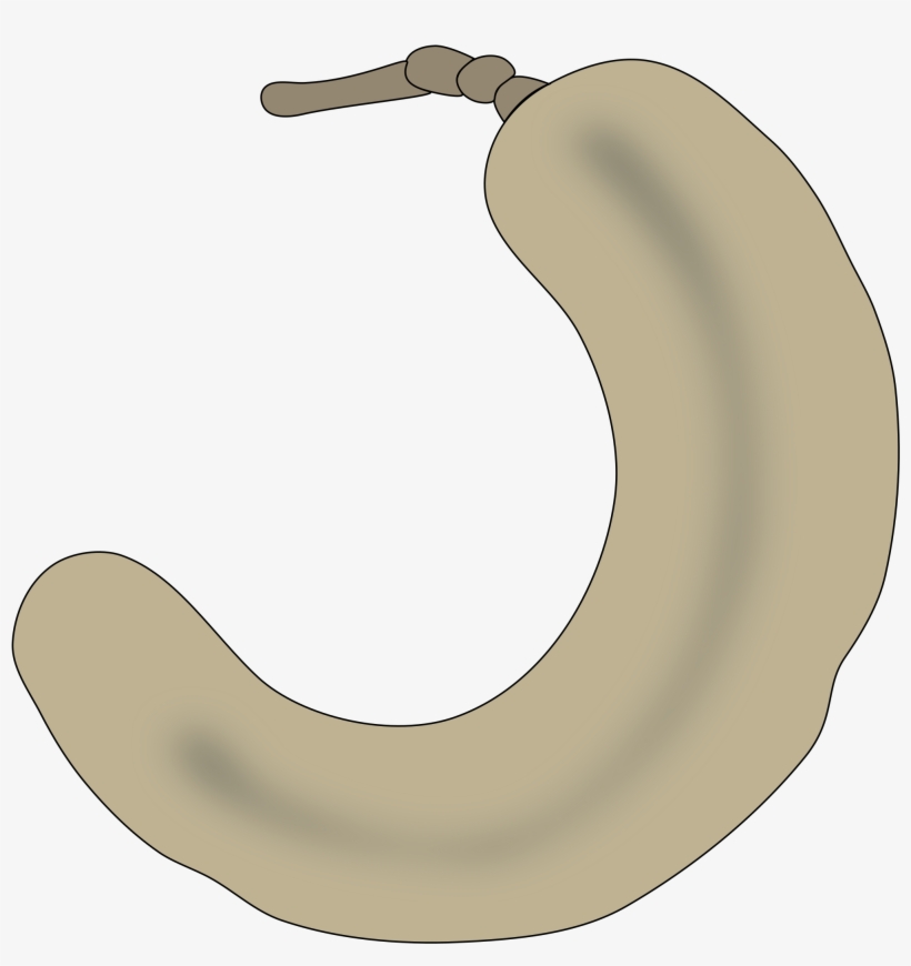 Tamarin Clipart Bananas - Tamarind Clipart, transparent png