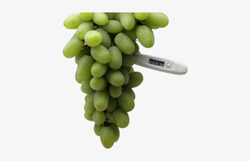 Feelingnot So Grape - Seedless Fruit, transparent png