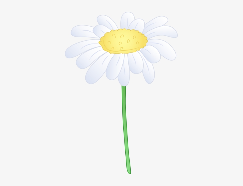 Background Clipart Daisy - Common Daisy, transparent png