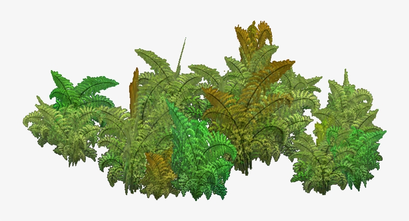 Royal Fern - Wiki, transparent png