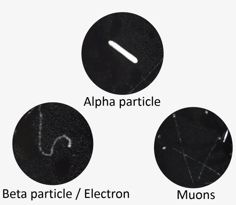 Thin And Curved Traces Show The Evidence Of Deflection - Circle, transparent png