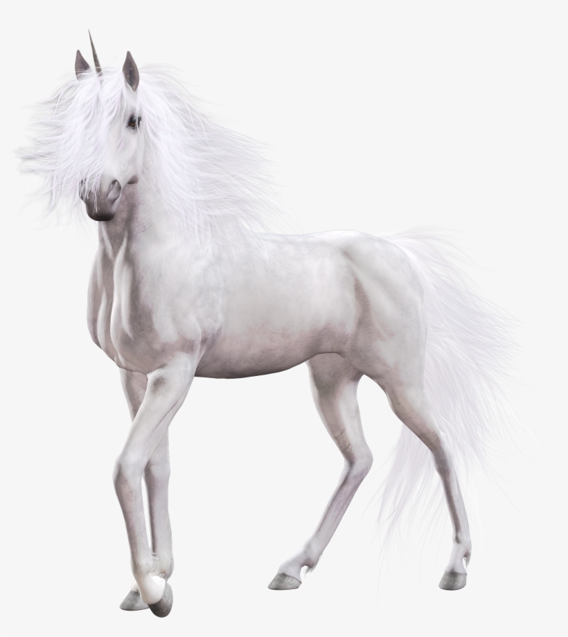 Unicorn White Horse, transparent png