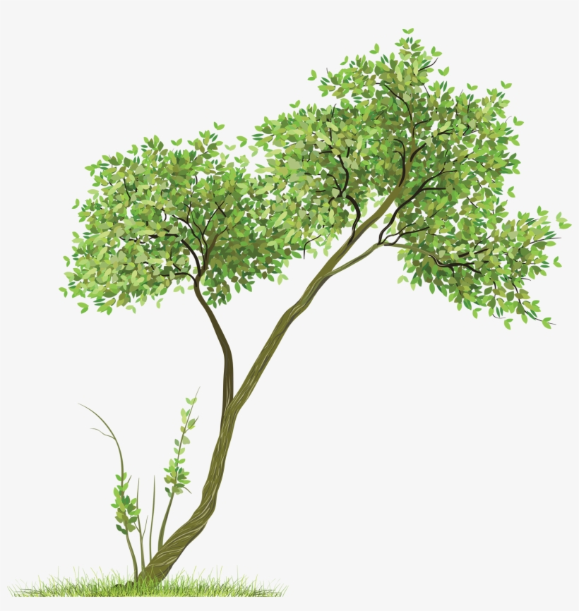 Transparent Tree Png Clipart - Trees Png, transparent png