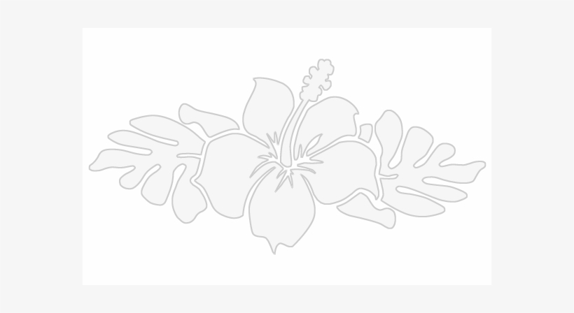 Hibiscus Black And White Border, transparent png
