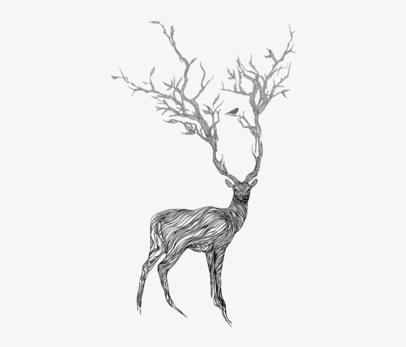 28 Collection Of Reindeer Drawing Tumblr - Society6 Blue Deer Iphone & Ipod Skin - Iphone, transparent png