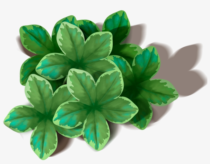 Green Leaves Png Image - Leaf, transparent png